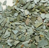 Eukalyptus