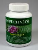 Lopuch větší