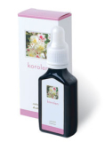 Korolen