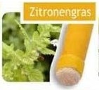 Citronela - tělová svíce