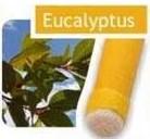 Eukalyptus - tělová svíce