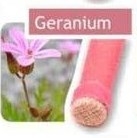 Geranium - tělová svíce