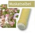 Šalvěj muškátová - tělová svíce