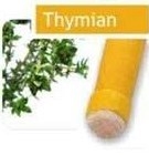 Tymián - ušní svíce