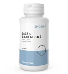 Šišák bajkalský kořen 