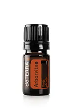 Arborvitae - Túje
