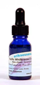 Pacific White - sided Dolphin - 15ml