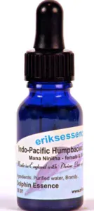 Indo-Pacific Humpbacked Dolphin - 15ml