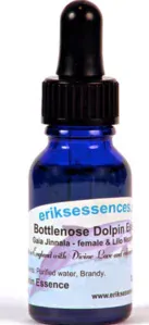 Bottlenose Dolphin - 15ml