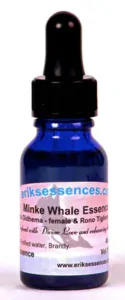 Minke Whale - 15ml