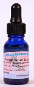 Beluga Whale 15ml
