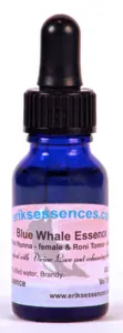 Blue Whale 15ml