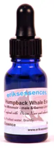 Humpback Whale 15ml