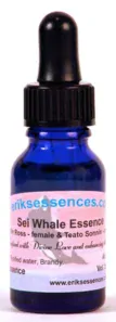Sei Whale 15ml