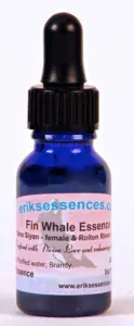 Fin Whale 15ml