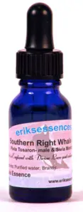 Southern Right Whale 15ml