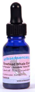 Bowhead Whale 15ml