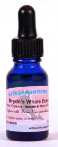 Bryde´s Whale 15ml