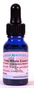 Gray Whale 15ml