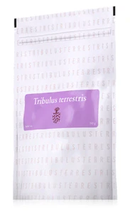 Tribulus terrestris