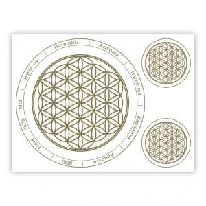 Energetický symbol Květ života
