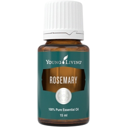Rosemary - rozmarýn