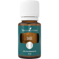 Sage - šalvěj