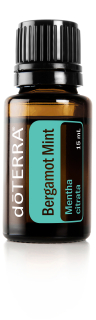 Bergamot Mint - máta citronová
