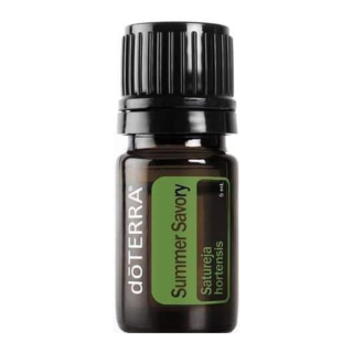 Summer Savory - saturejka zahradní